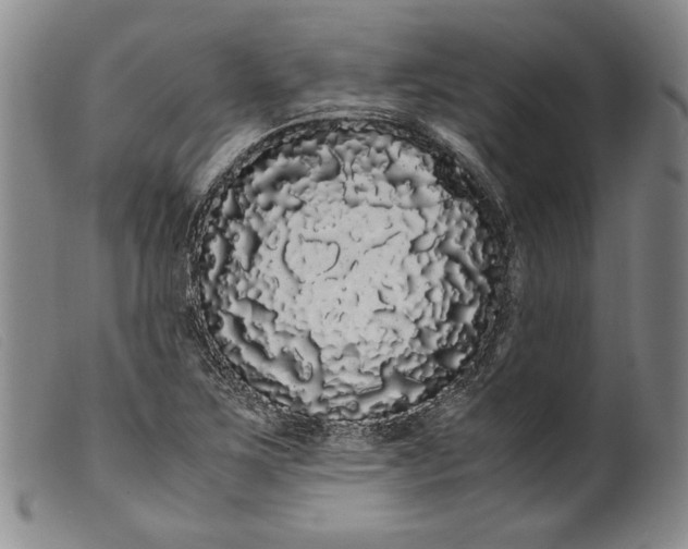 X0000099431267200805231645