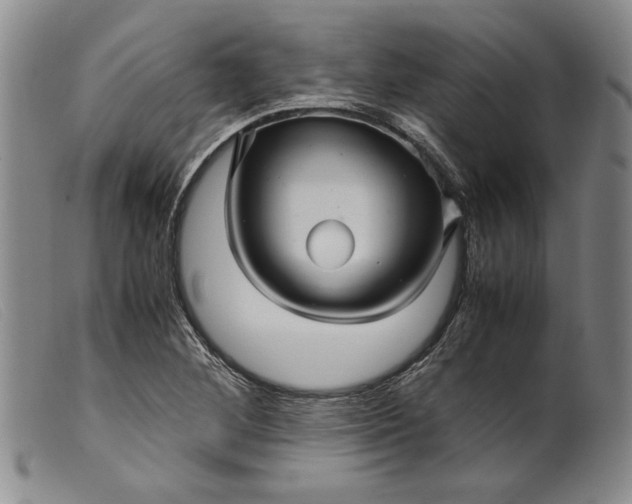 X0000099431268200805231645