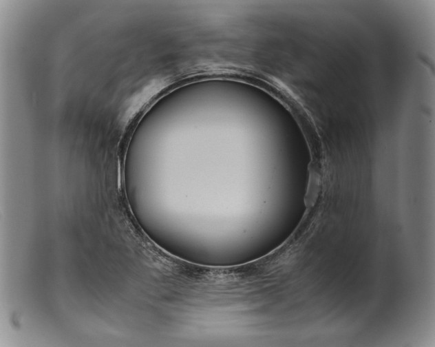 X0000099431269200805231645