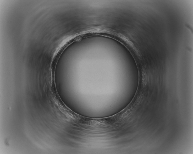 X0000099431270200805231645