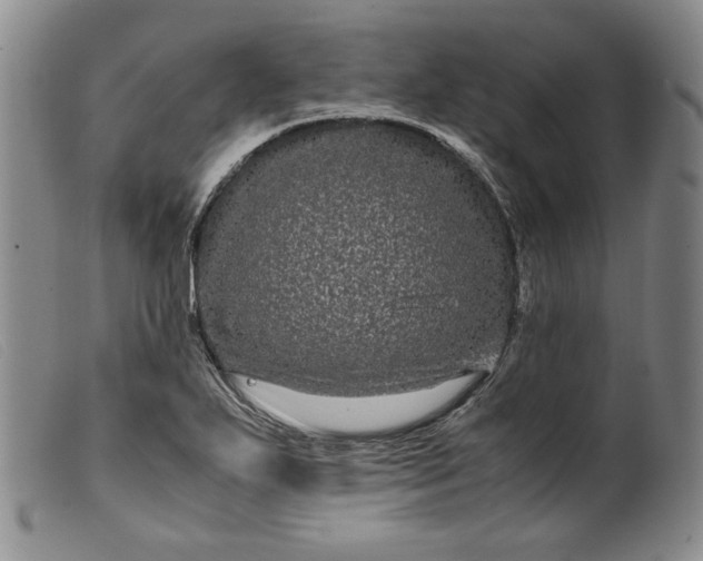 X0000099431271200805231645