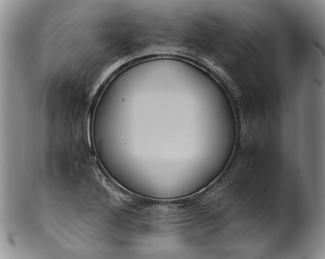 X0000099431272200805231645