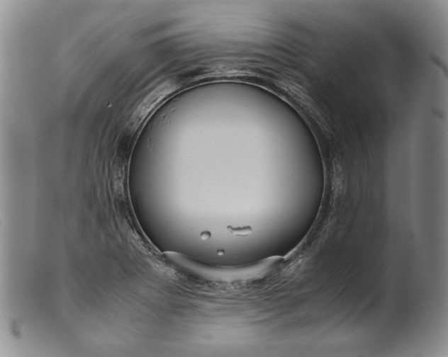 X0000099431273200805231645