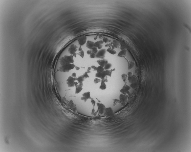 X0000099431274200805231645