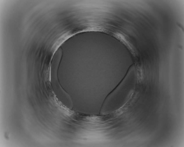 X0000099431276200805231645