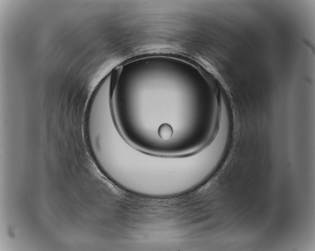 X0000099431277200805231645