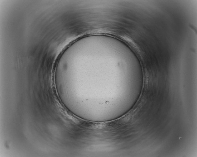 X0000099431278200805231645