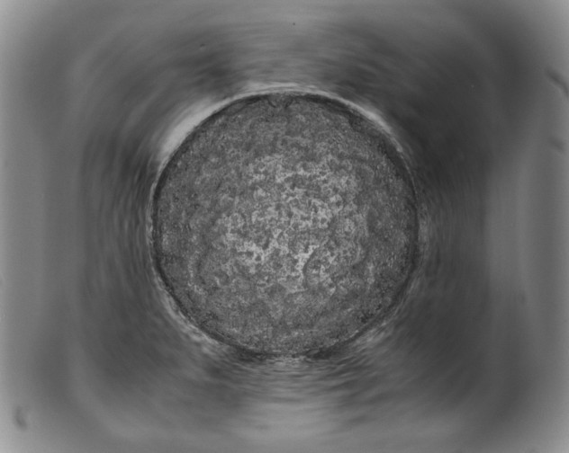 X0000099431279200805231644
