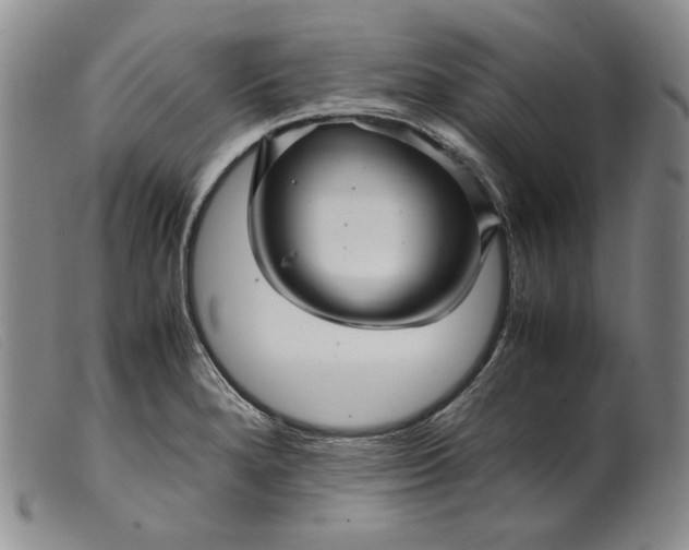 X0000099431280200805231644
