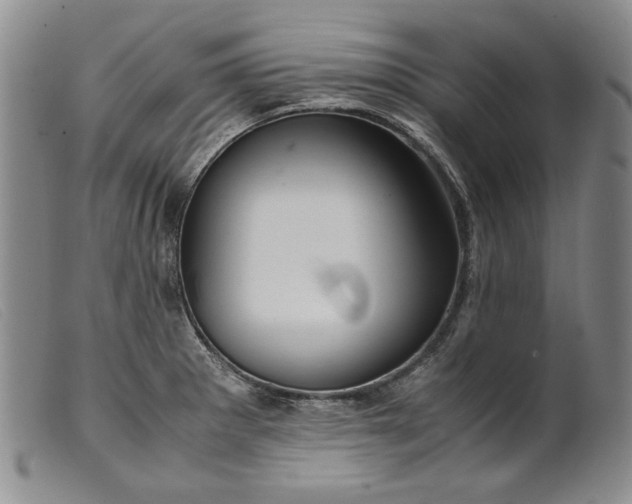 X0000099431281200805231644