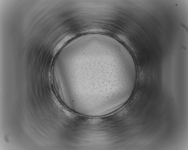 X0000099431282200805231644