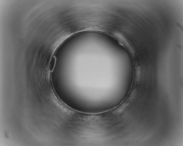 X0000099431284200805231644