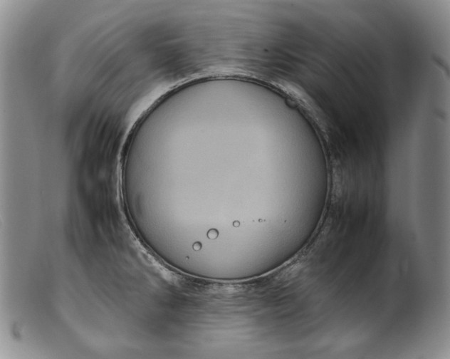 X0000099431286200805231644