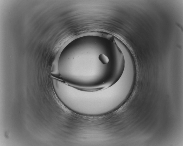 X0000099431289200805231644