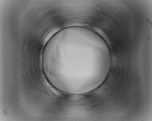 X0000099431290200805231644