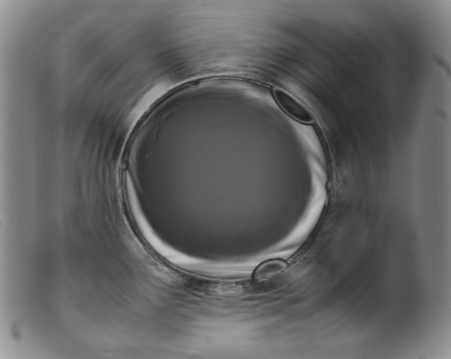 X0000099431291200805231644