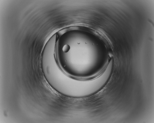 X0000099431292200805231644