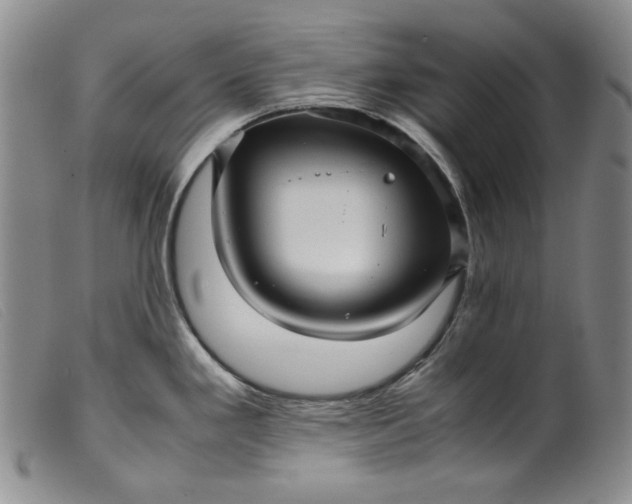 X0000099431293200805231644