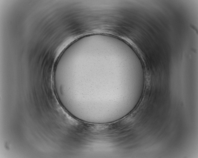 X0000099431294200805231644