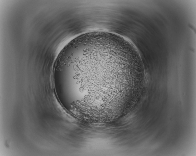 X0000099431295200805231644
