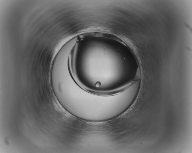 X0000099431296200805231644