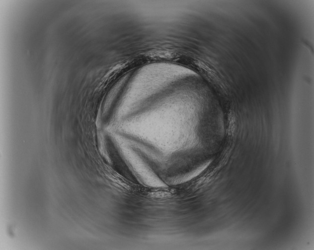 X0000099431297200805231644