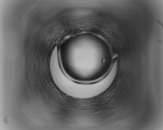 X0000099431298200805231644