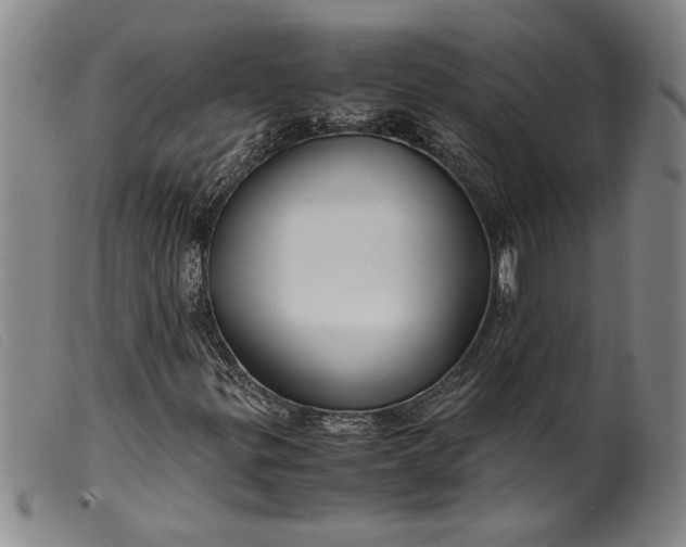 X0000099431299200805231644
