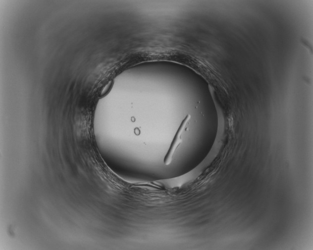 X0000099431300200805231644