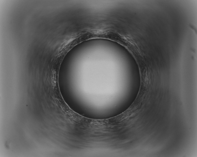 X0000099431301200805231644