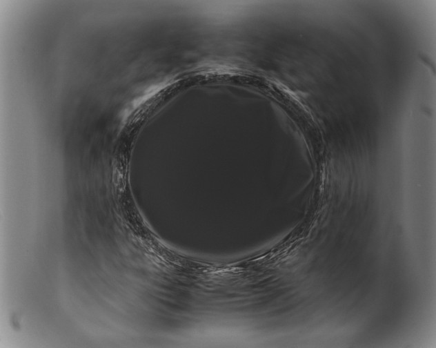 X0000099431303200805231644
