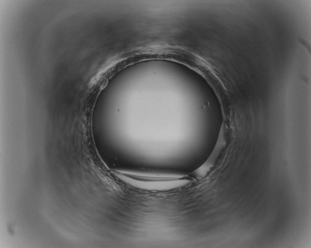 X0000099431304200805231644
