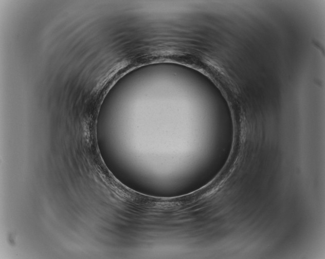 X0000099431305200805231644