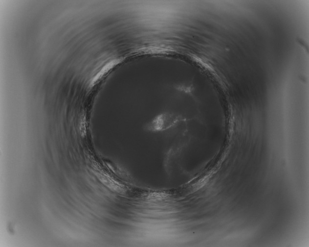 X0000099431306200805231644