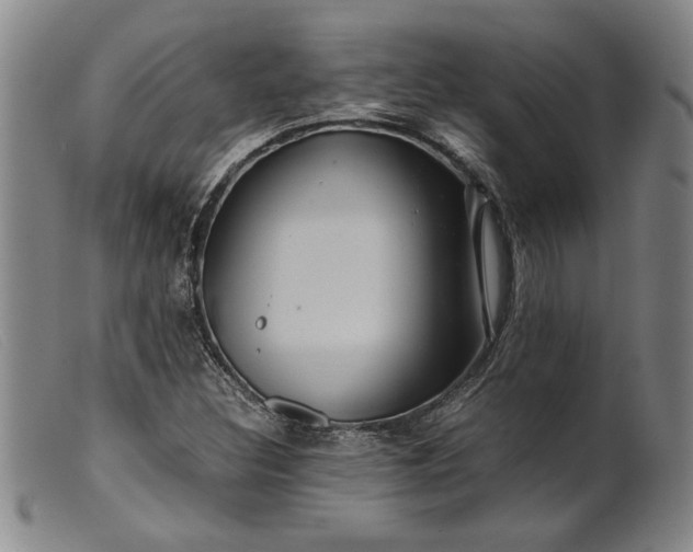 X0000099431308200805231644
