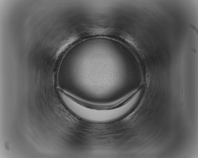 X0000099431309200805231644