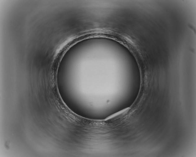 X0000099431310200805231644