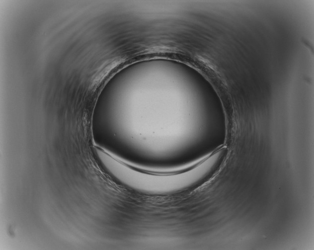 X0000099431313200805231644