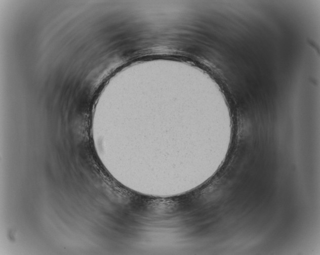 X0000099431314200805231644