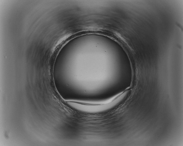 X0000099431315200805231644