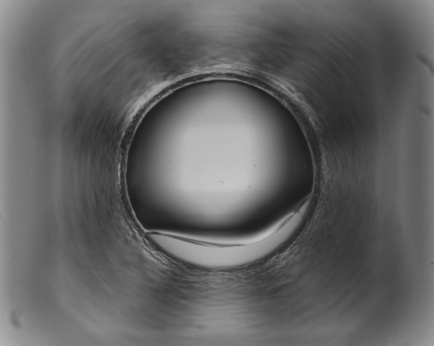 X0000099431316200805231644