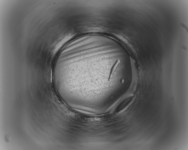 X0000099431317200805231644
