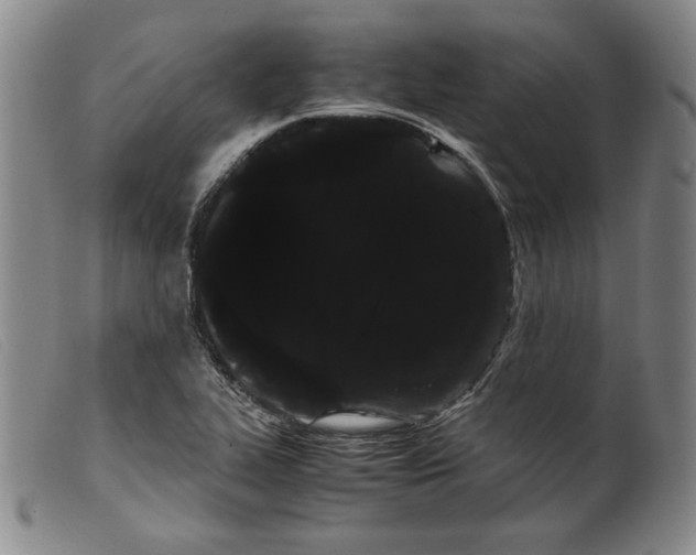 X0000099431319200805231644