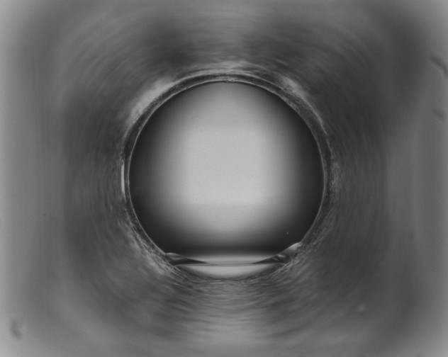 X0000099431320200805231644