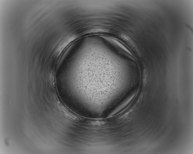 X0000099431321200805231644
