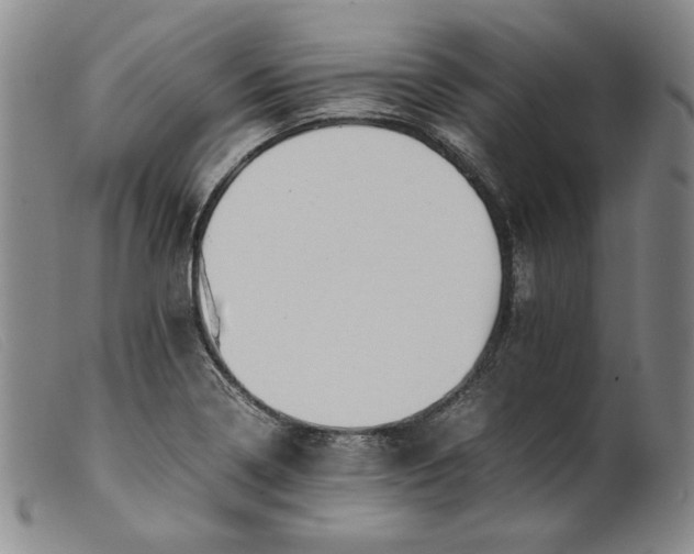 X0000099431322200805231644