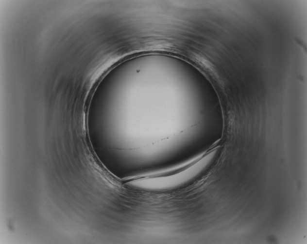 X0000099431324200805231644
