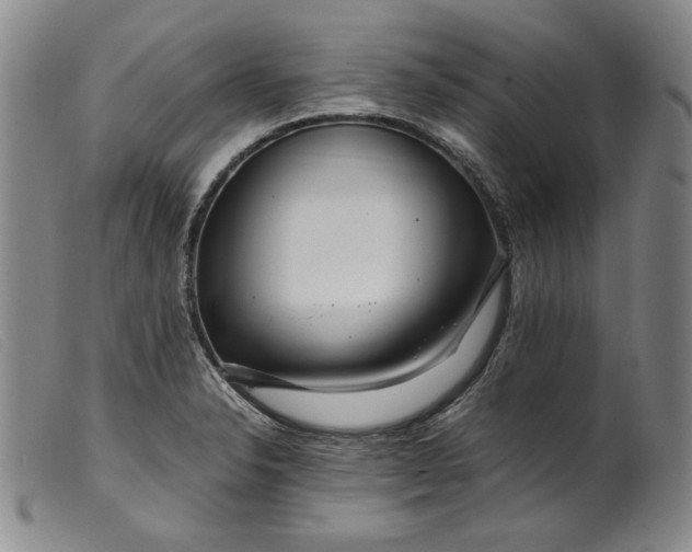 X0000099431326200805231644