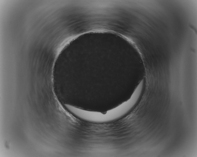 X0000099431327200805231644