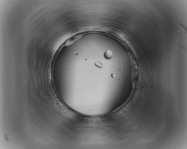X0000099431328200805231644